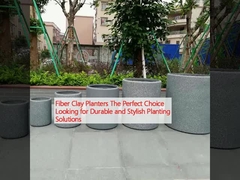 Glasfaserpflanzmaschinen - Die perfekte Wahl für langlebige und stilvolle Pflanzungslösungen