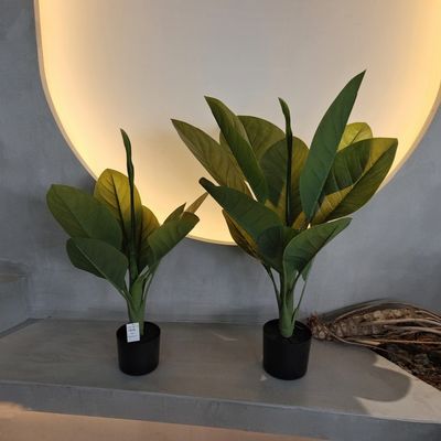 kaufen Langlebiges Kunststoffmaterial Künstliche Pflanzen 70 cm Künstliche Dieffenbachia Baum online manufacture