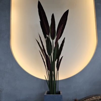 kaufen Lebensgetreue 140cm Fälschliche Paradies-Flügel Kunstpflanze für Innen / Außen online manufacture