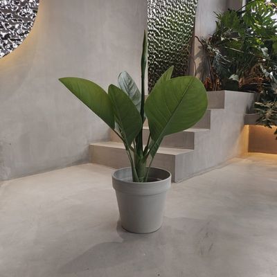 kaufen Lebensfreundliche, umweltfreundliche Gartenpfannen aus Kunststoff, wasserdicht 250*175*230MM online manufacture
