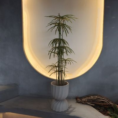 kaufen UV-beständige Kunststoff-Fälschungspflanzen künstliche Graptopetalum-Baum online manufacture