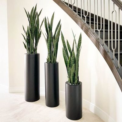 kaufen Holen Sie sich die besten Angebote für langlebige und stilvolle Glasfaserblumenpfannen für Ihren Garten online manufacture