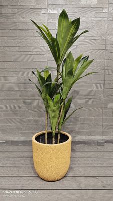 kaufen Gelbe Honigtau Melone Rinde Muster Runde Glasfaser Plantage Gärten Landschaftsgestaltungsprojekt online manufacture