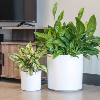 Individuelle Glasfaserblumenpflanzen Topf rund für Zimmerpflanzen