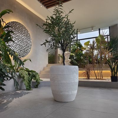 Textur Runder Fiber Clay Planter Hand geschnitzt für Innen / Außen Dekor