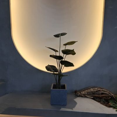 Umweltschonende Kunststoff-Künstliche Pflanzen 90cm