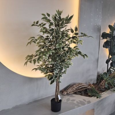 Hypoallergene Kunststoff-Fälschung Pflanzen Insektenbeständig 120cm