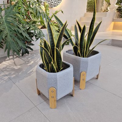 Moderner Stil Fiber Clay Planter mit handgeschnitzten Veredelung