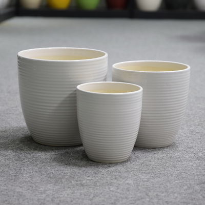 Erstaunliche Pflanzenanzeige mit unseren Keramikpfannen Verschiedene Größen Erhältliche Keramikblumenpfannen