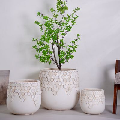 Kleiner umweltfreundlicher Blumentopf Heimdekoration Drainage für Innen-/Außenbepflanzung Desktop-/Gartendesign Packboxen für den täglichen Gebrauch