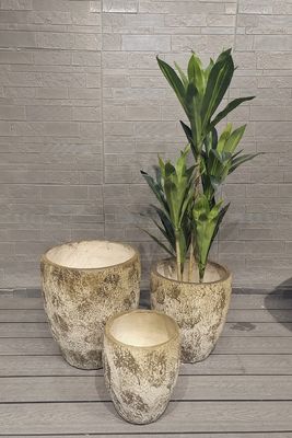 Hoher, erdfarbener, runder Faser-Ton-Leichtgewicht-Dauerhafter Dachgarten-Topf